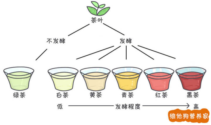 茶叶的分类 