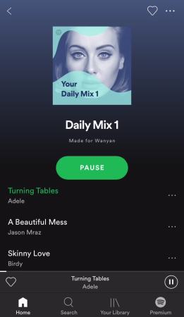 spotify.mp4 (779.04KB)
