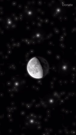 moon.mov (31.03MB)