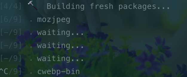 pngquant-bin2.png
