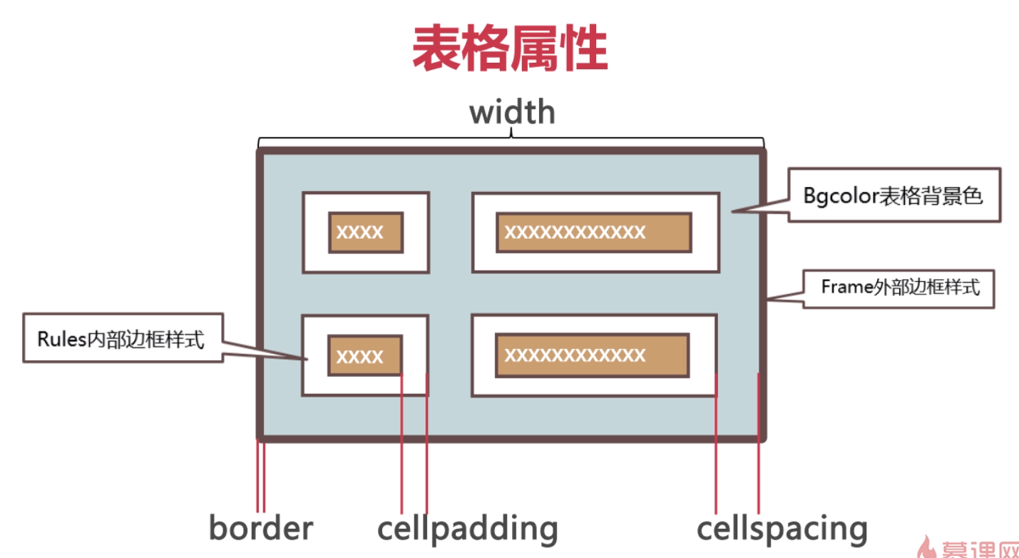 Html table border width