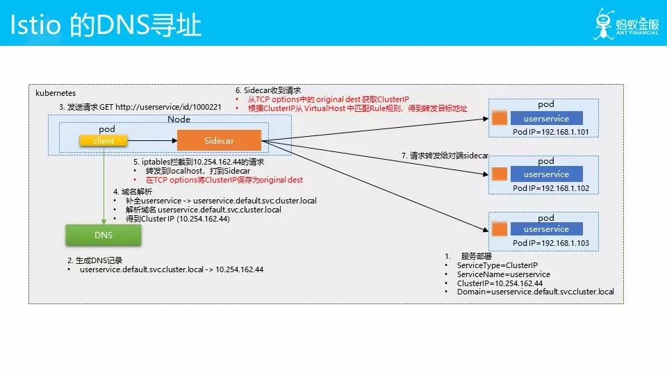 Istio 的 DNS 寻址