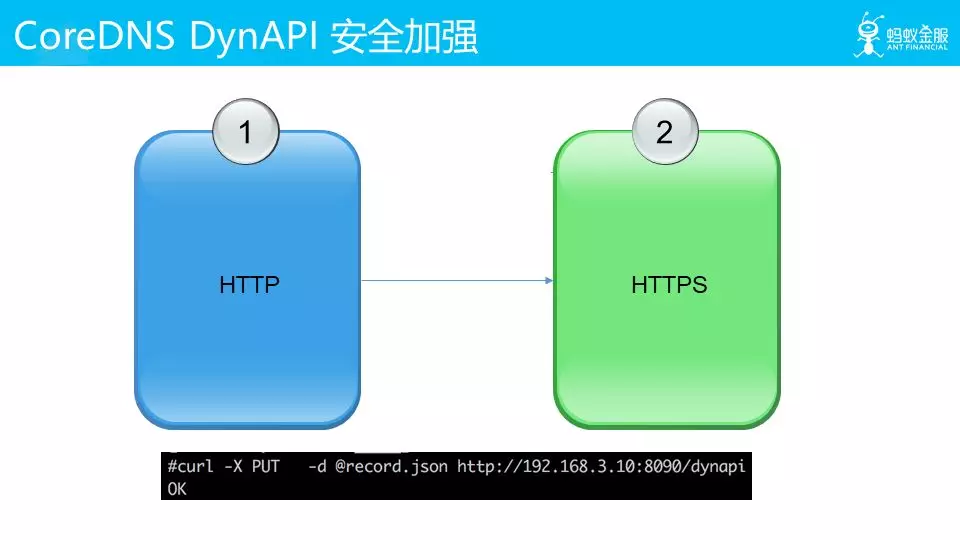 CoreDNS DynAPI 安全加强