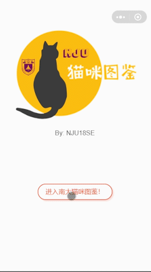 小程序登录界面.gif