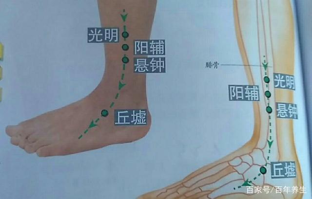 熬夜头晕就按它—阳辅穴 - 穴位 · 语雀