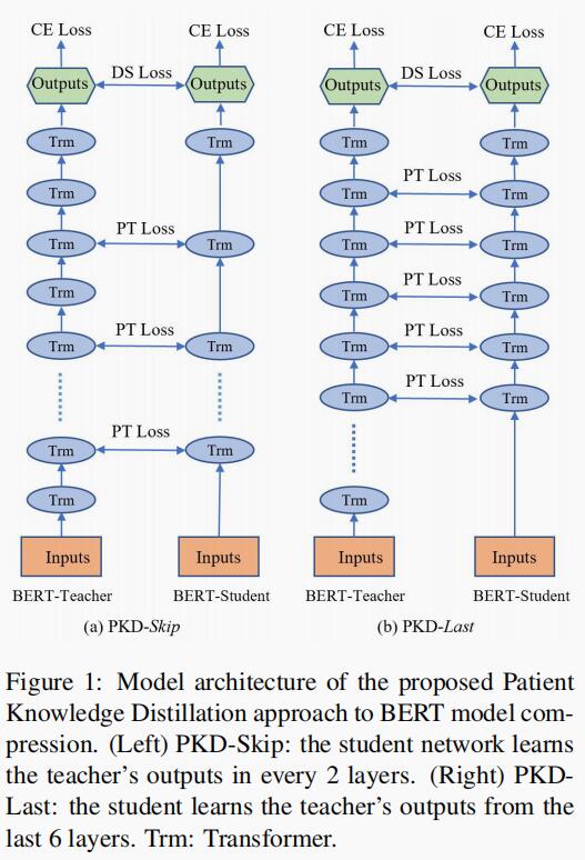 论文阅读：Patient Knowledge Distillation for BERT Model Compression