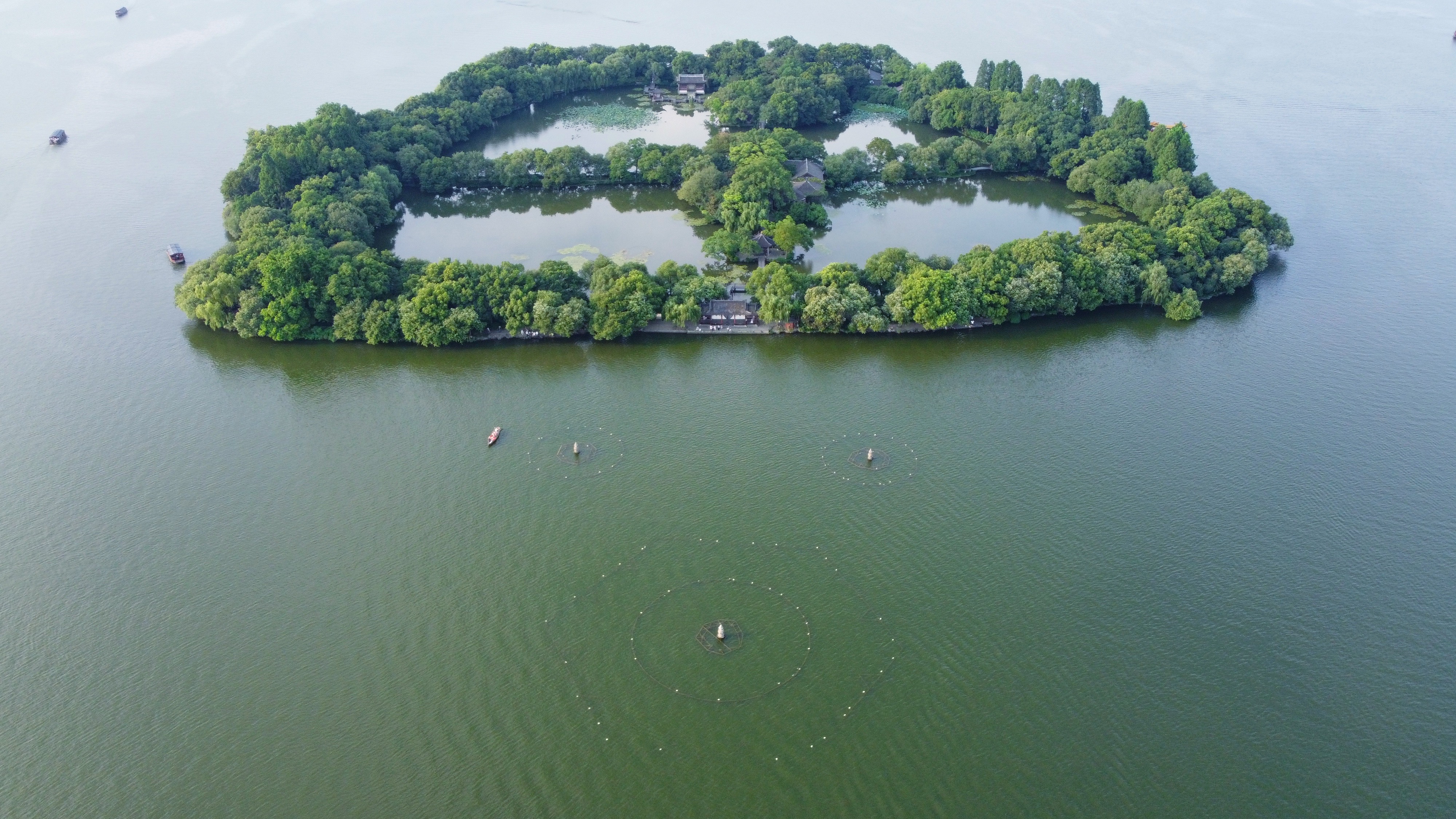 西湖苏堤全景图片