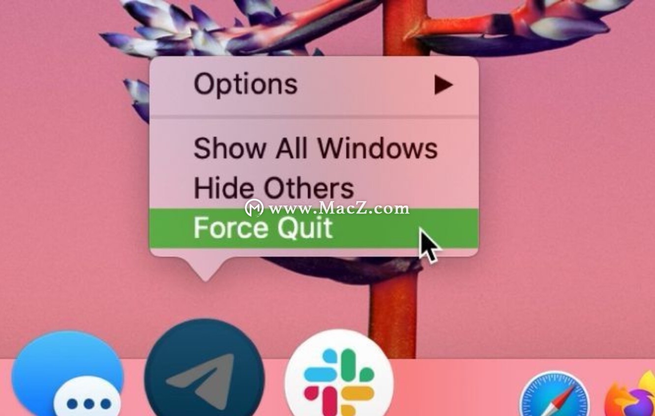 mac技巧：如何在Mac上强制退出应用 - 图2