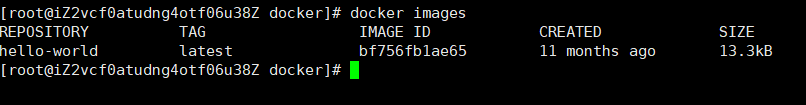 Docker 从入门到入土