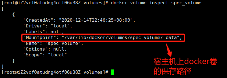 Docker 从入门到入土