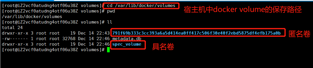 Docker 从入门到入土