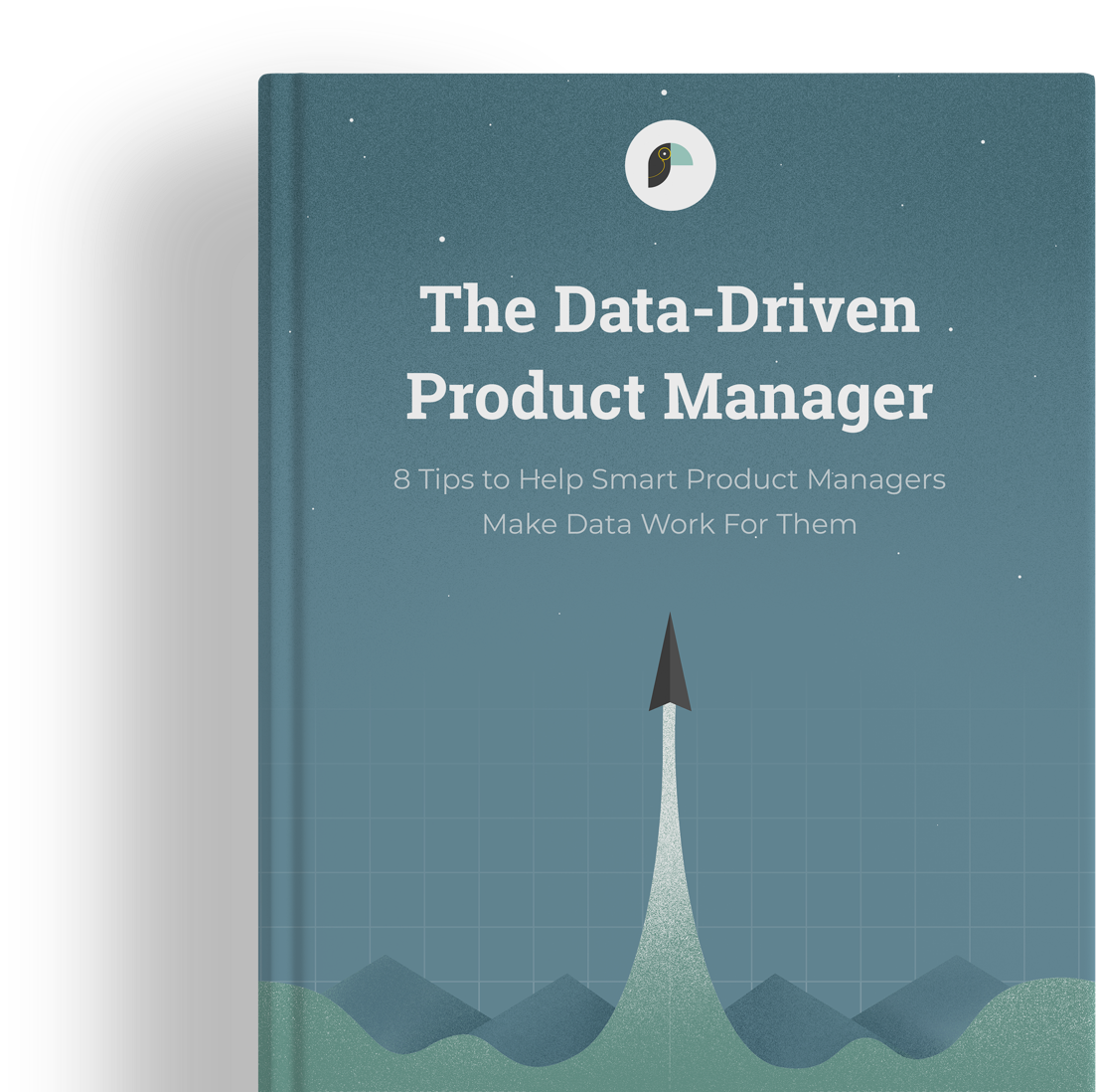 The-Data-Driven-Product-Manager-ebook.png