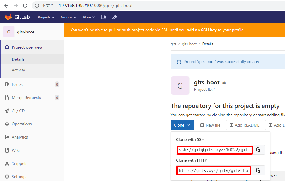 gitlab-project.png