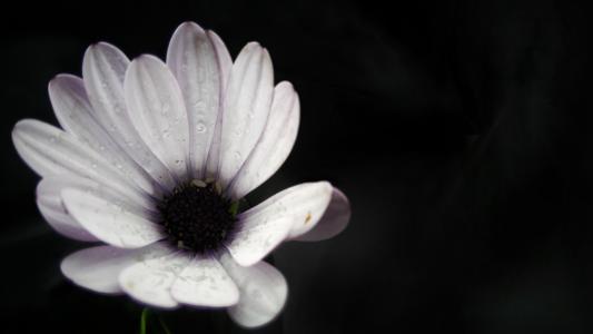 2.发布你认为拍摄好的突出主体的照片