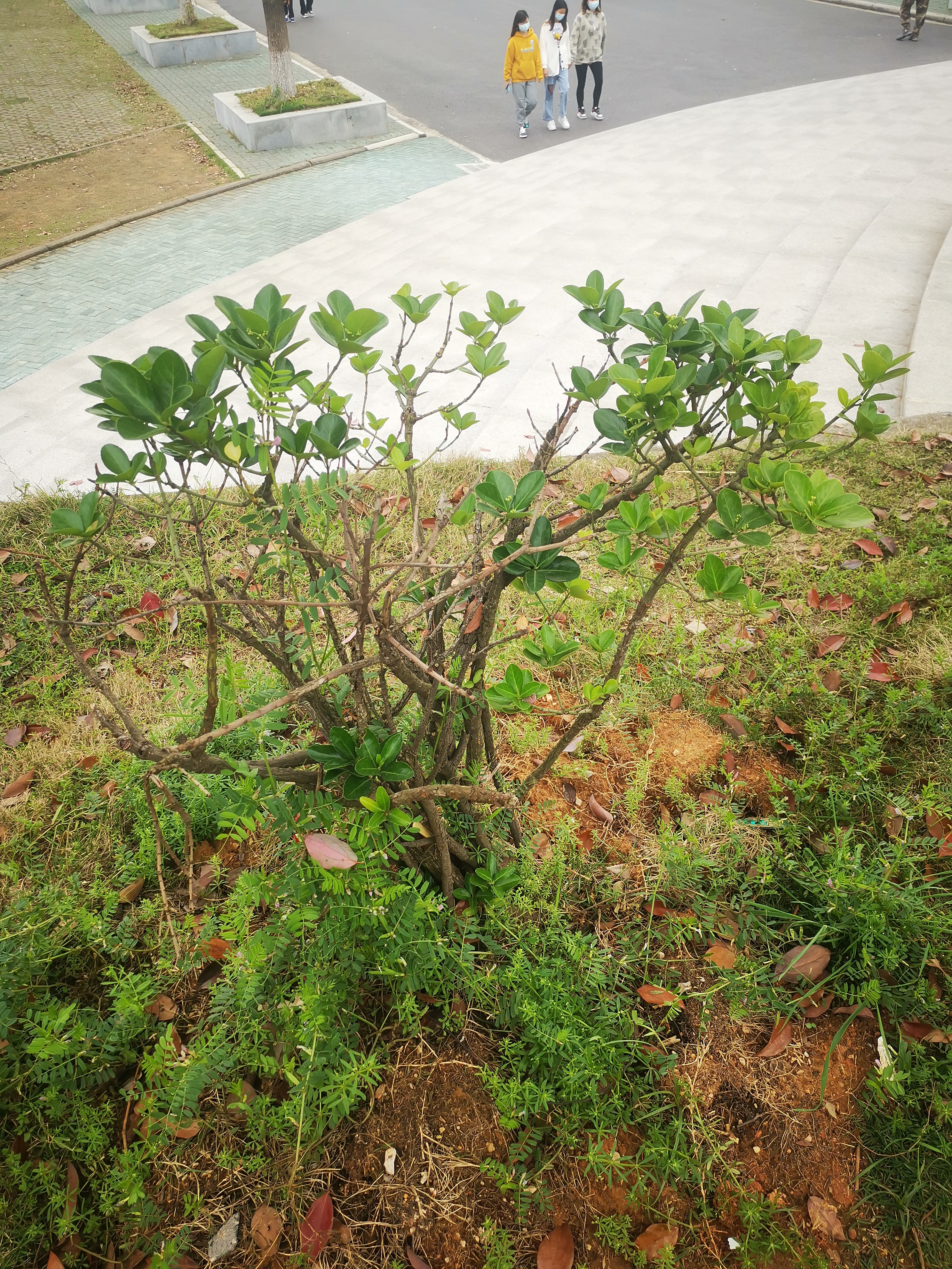 第11课 如何突出主体 - 4-3 无人机航拍技能实训 · 语雀