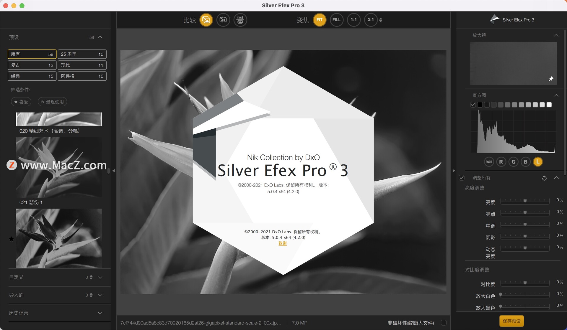 Silver Efex Pro 3 for Mac(黑白处理调试滤镜)v5.0.4(4.2.0)中文版 - 图1