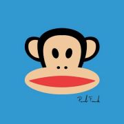 计算机生成了可选文字: