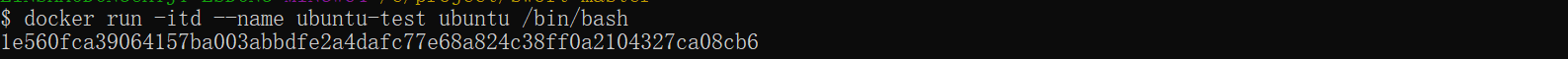 docker-run-d.png