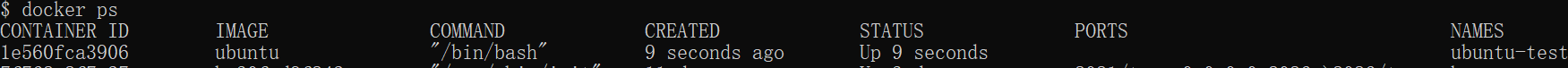 docker-run-d2.png