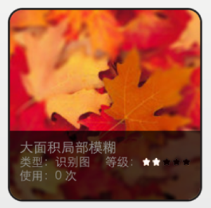 模糊后：2 星级