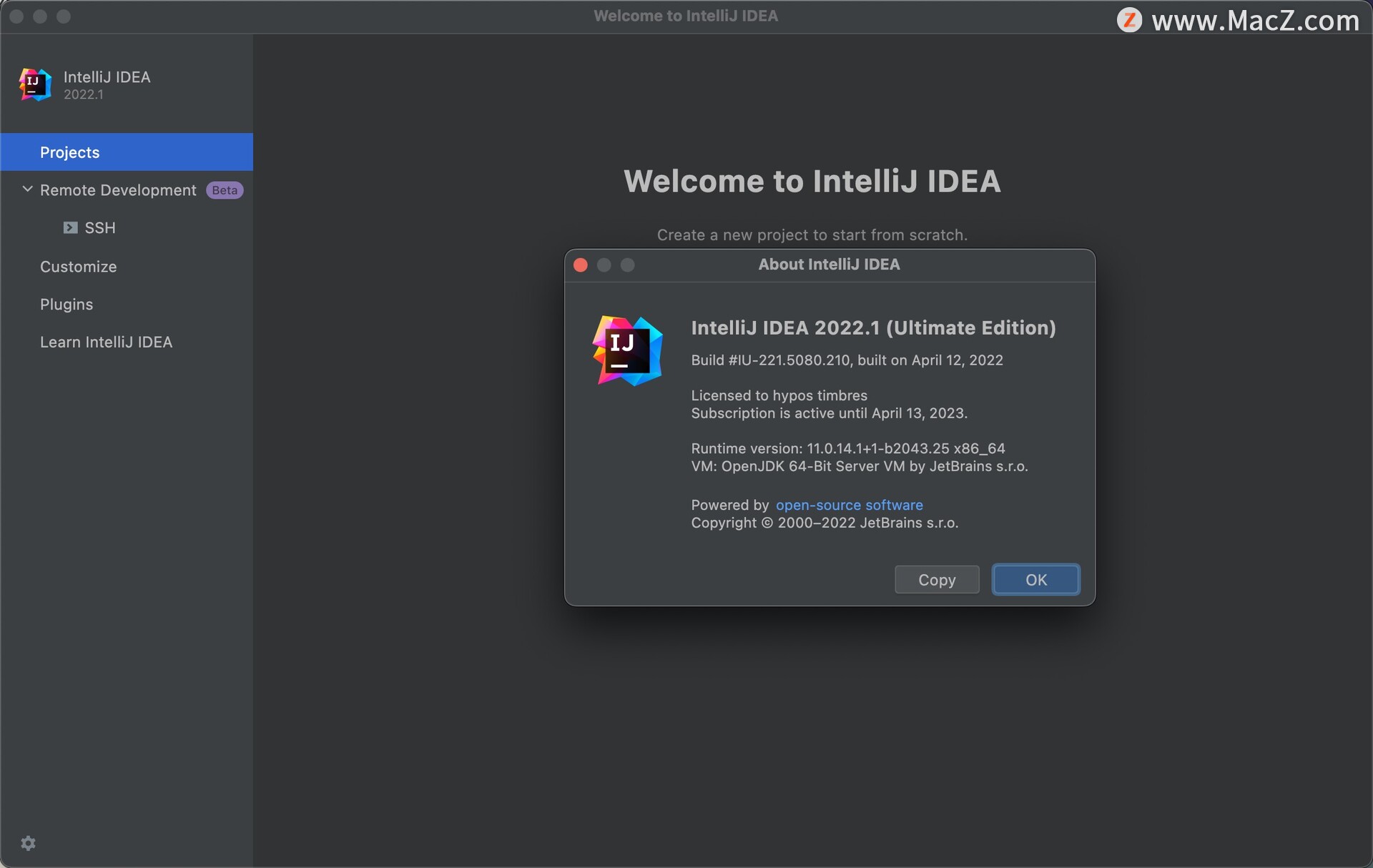 IntelliJ IDEA 2022 Mac破解版 最好用的Java开发工具 - 图1