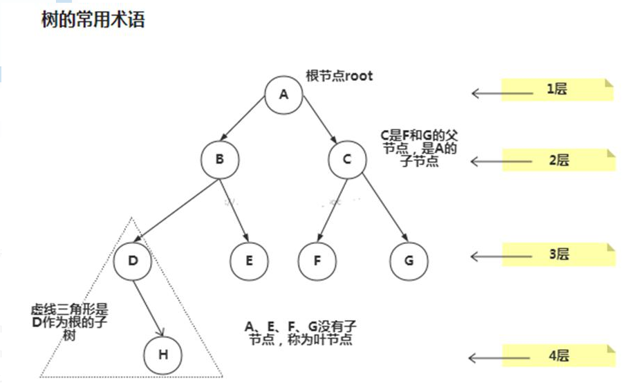 第 10 章 树结构的基础部分(一)-阿里云开发者社区