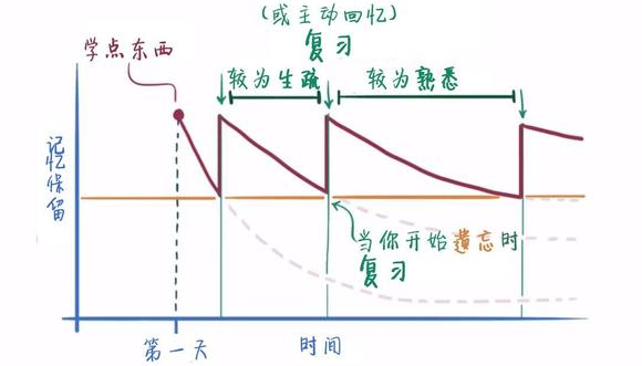 遗忘和复习示意图