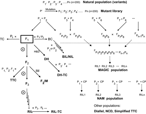 pbi12559-fig-0001-m.png