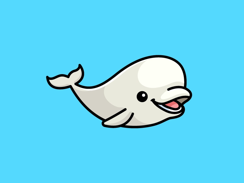 白海豚.webp