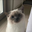 今天荔枝一点