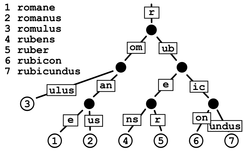 radix_tree.png