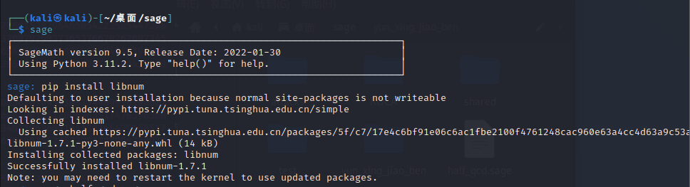 Linux 里遇到的sage问题