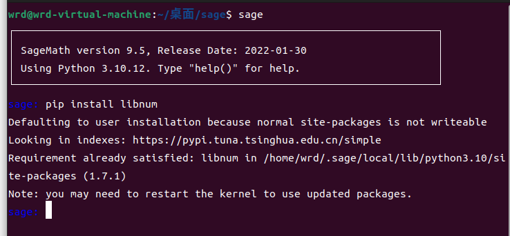 Linux 里遇到的sage问题