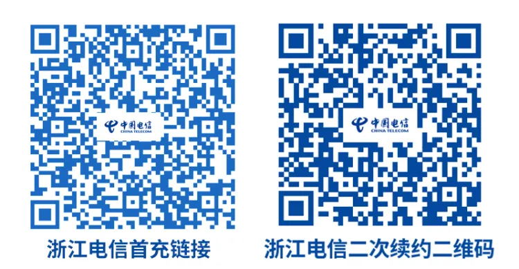 W465/电信浙金卡19元100G流量+0.1元/分钟通话【到期可续】(图1)