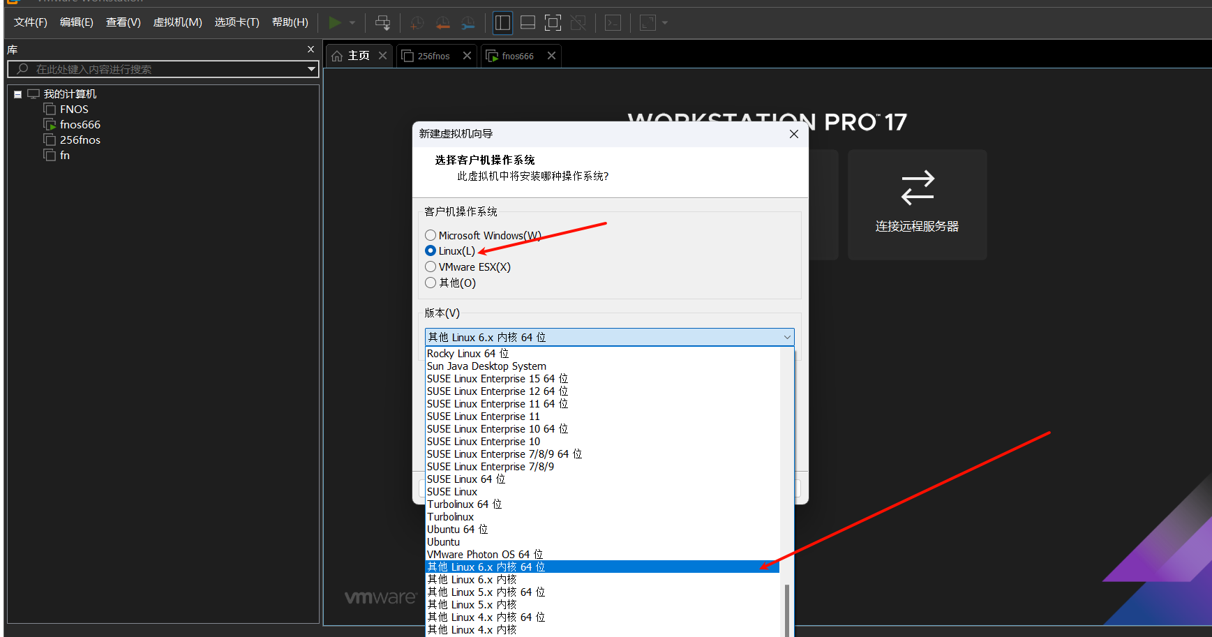 系统选择linux，版本选择其他 liux 6.x内核核 64位