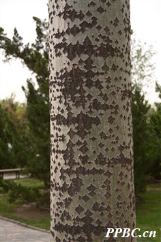 B0CDB3E51583BEB5.jpg