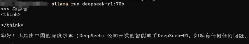 图片[3]-OLLAMA 未授权访问（CNVD-2025-04094）-棉花糖会员站