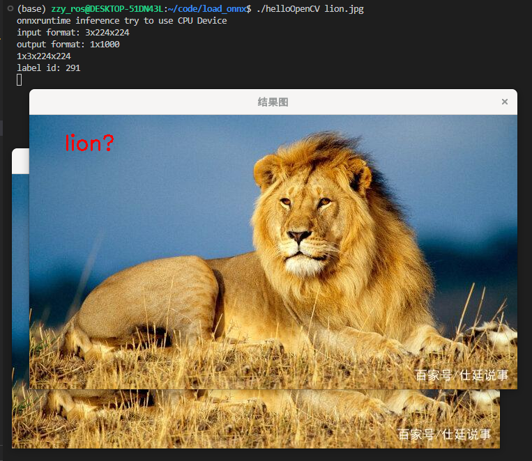lion