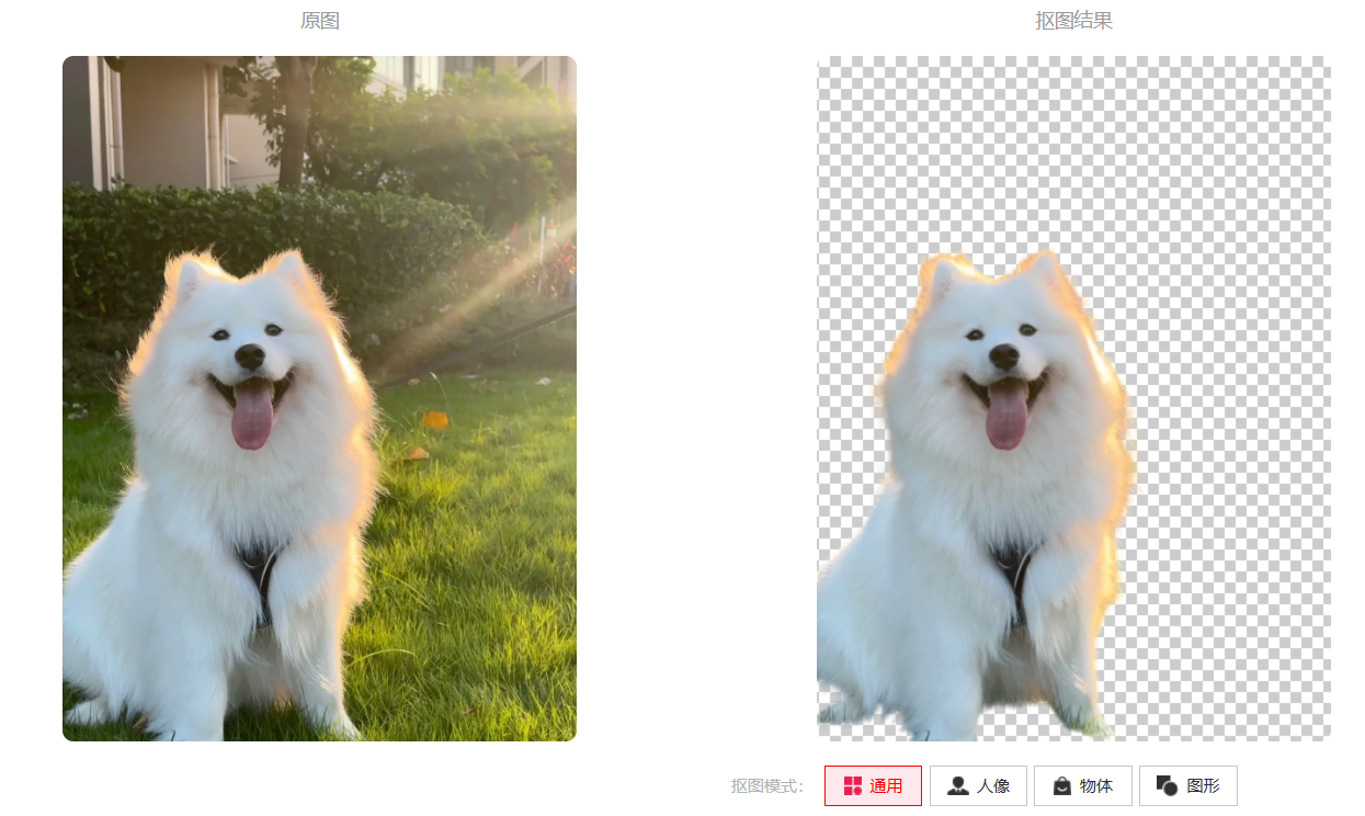5款免费的AI 抠图工具推荐,发丝轻松搞定