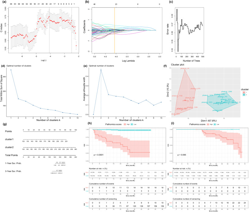 病理组学特征筛选及模型