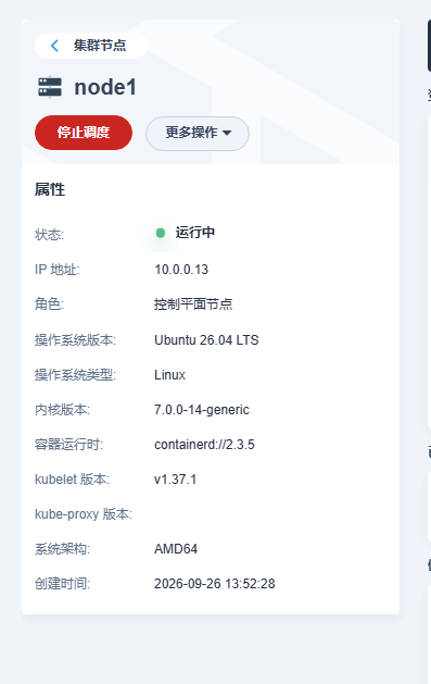 节点详情