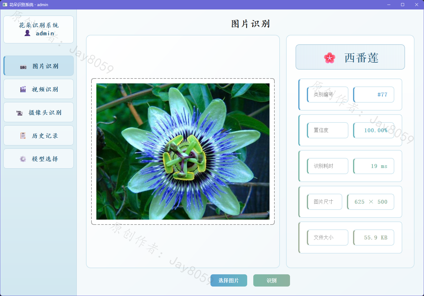 基于 MobileNet 的花朵识别系统项目截图3
