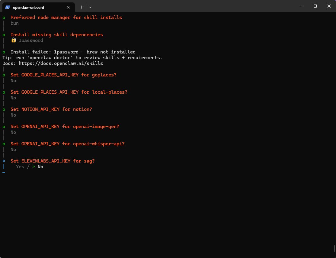 配置 skills 的 API Key:No
