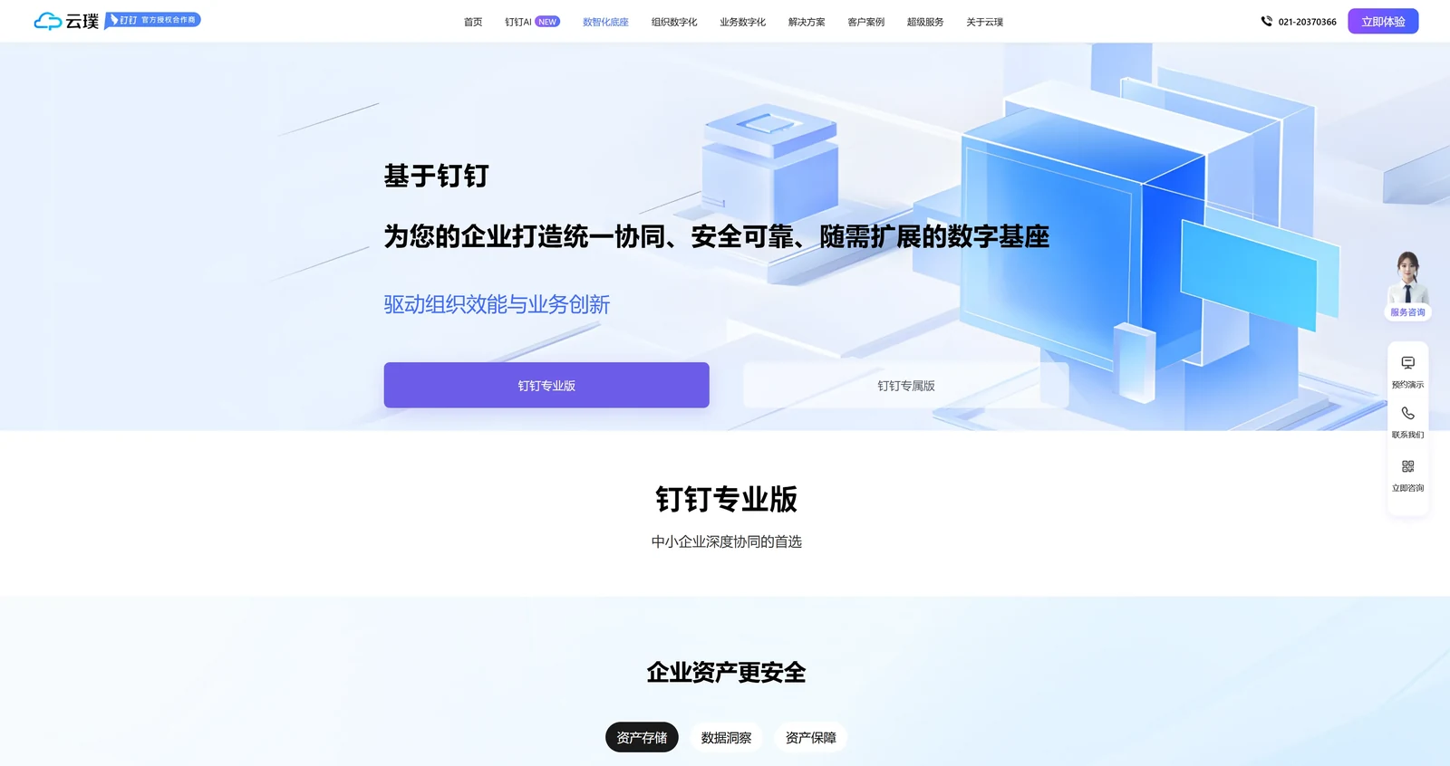 云璞信息 · 数智化底座 · 专业版与专属版